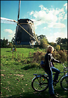 Mikes Bike Tours...