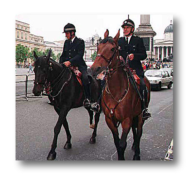Mounted Police - Trafalgar Square