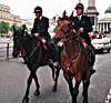 Mounted Police - Trafalgar Square