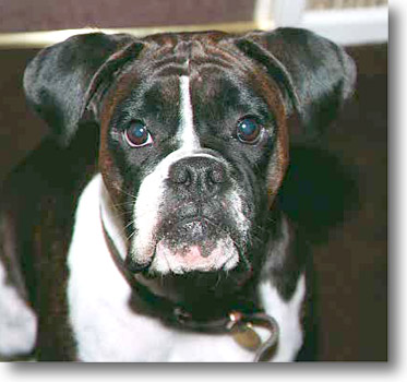 Ruby