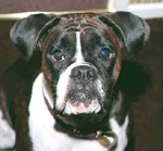 Ruby